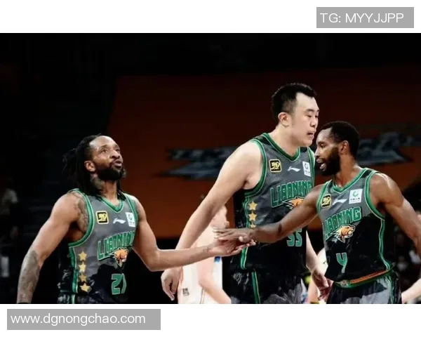 CBA联赛最佳外援引进对球队整体竞争力与战术布局的深远影响分析